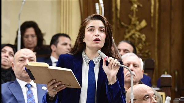  النائبة إيرين سعيد،