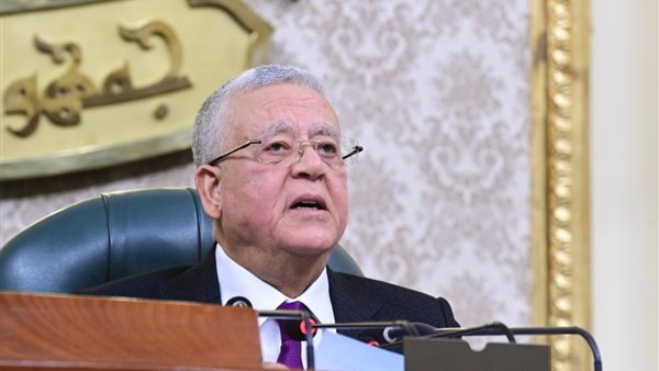 المستشار الدكتور