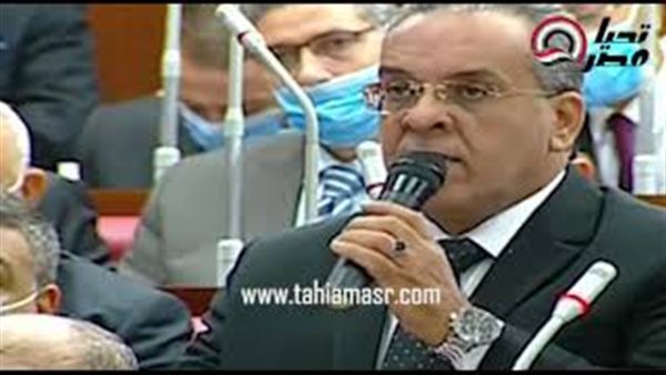 النائب رضا الشافعي،