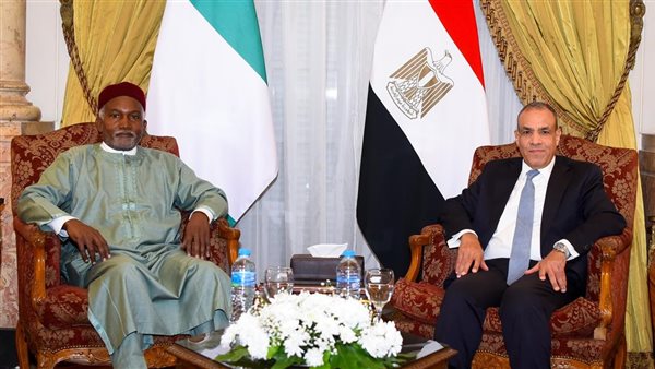 وزير الخارجية ونظيره