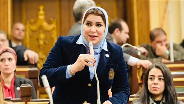 النائبة نيفين الكاتب،