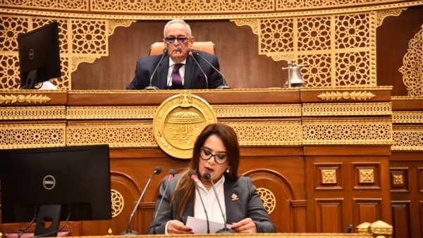 النائبة راجية الفقي،