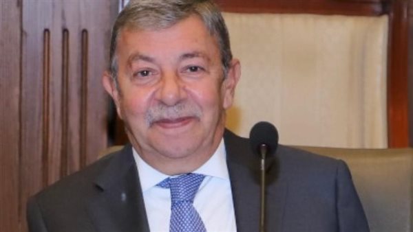  السفير عمرو حلمي