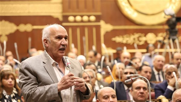 السيد عبد العال،