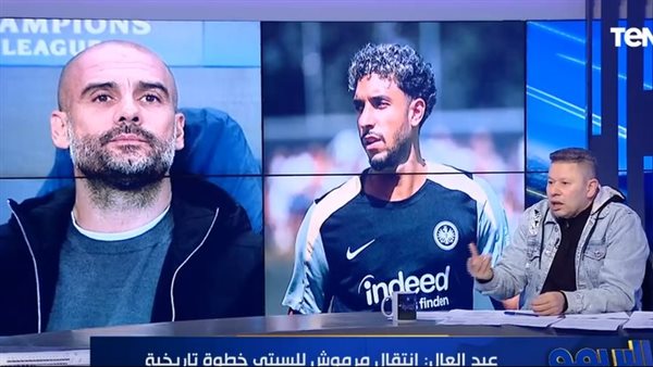 رضا عبد العال