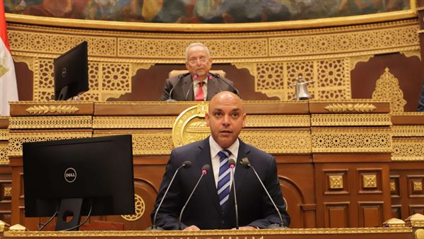 النائب محمود القط،