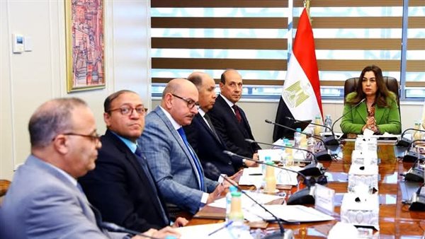 وزير التنمية المحلية