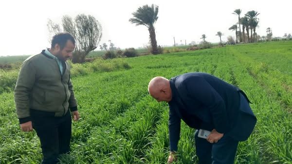 الارشاد الزراعي