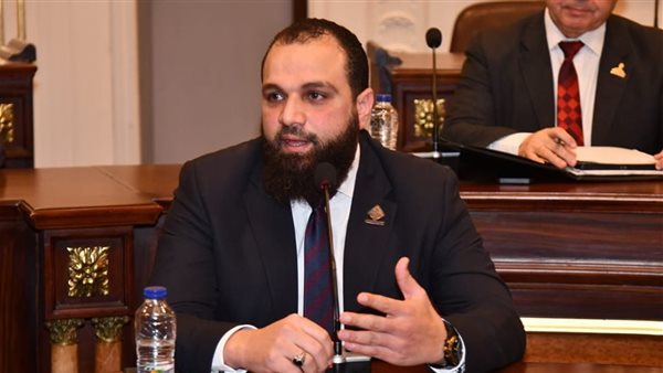 النائب محمود تركي