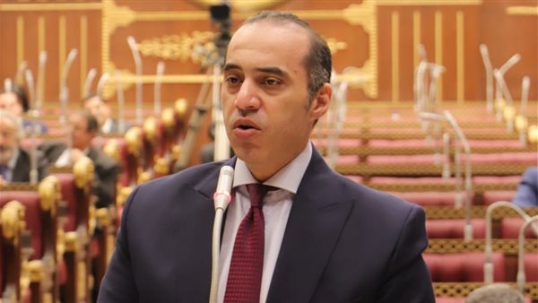 المستشار محمود فوزي،