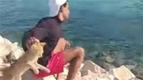 إلقاء قطة في البحر