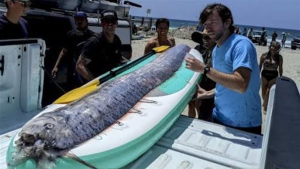 سمكة يوم القيامة