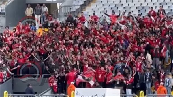 تصوير: أحمد صابر