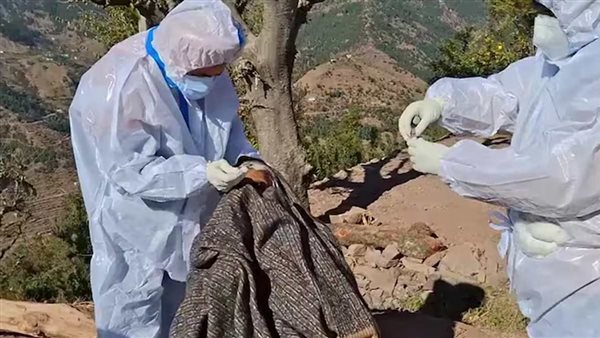 مرض في الهند 