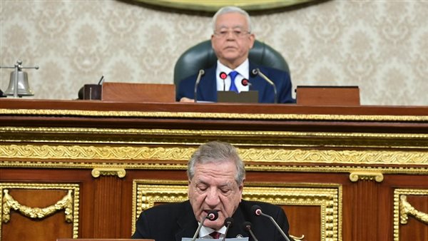  النائب فخري الفقي