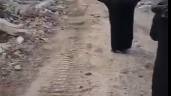 لقطة من الفيديو