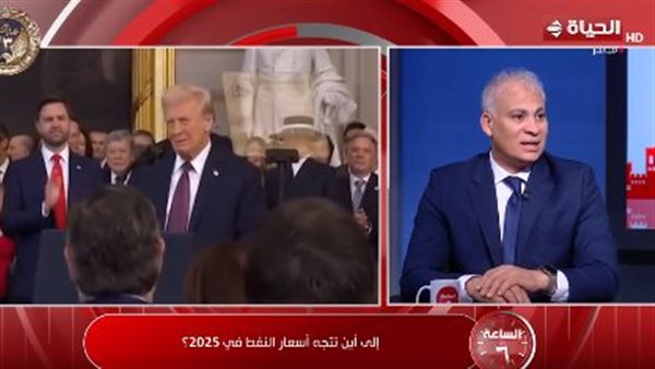 جمال القليوبي