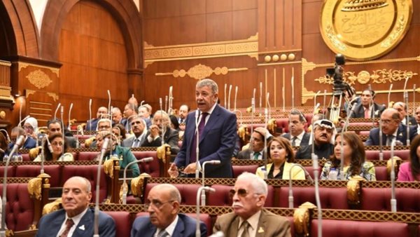 السفير عمرو حلمي