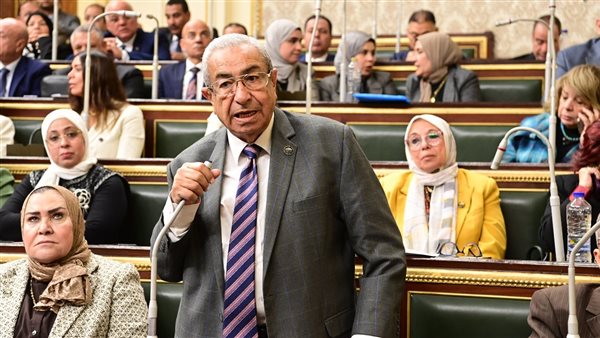 النائب منصف سليمان،