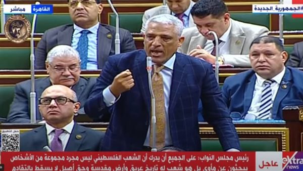 النائب محمد الحسيني،