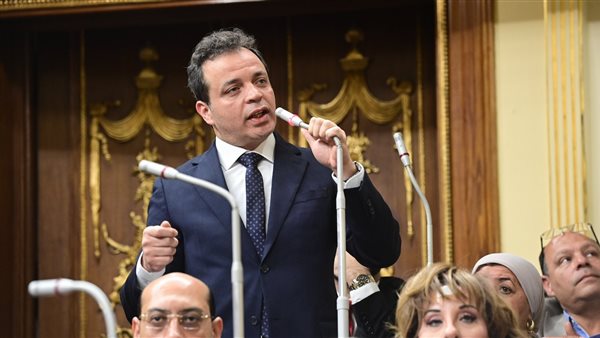 النائب هشام هلال،