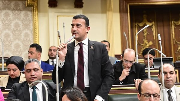 النائب طارق الخولي