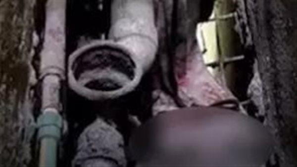 مولود في منور