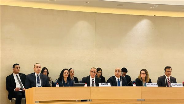 جانب من مشاركة الوفد