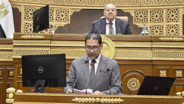 المستشار عبد الوهاب