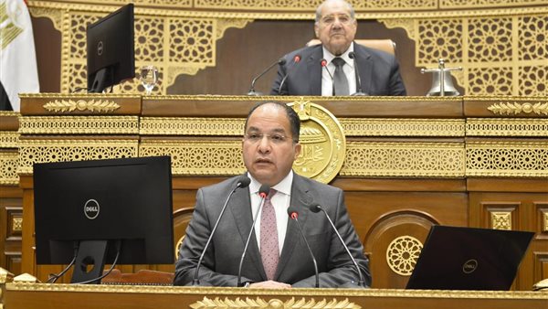 النائب عادل اللمعي