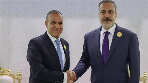 وزيرا الخارجية المصري