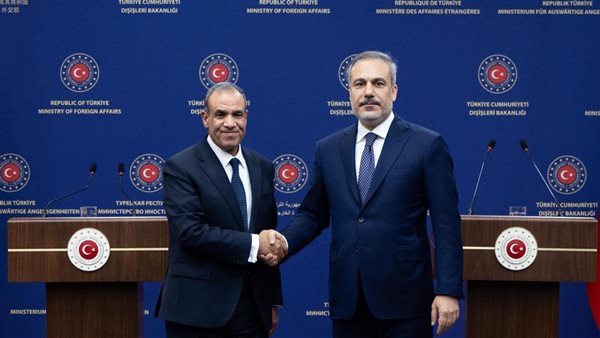 وزيرا خارجية مصر