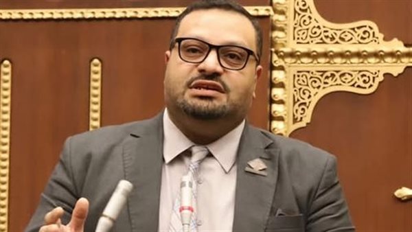 النائب أحمد القناوي