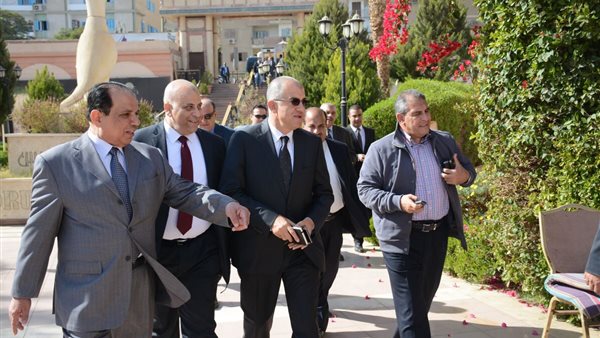 وفد دعم مصر يصل الى