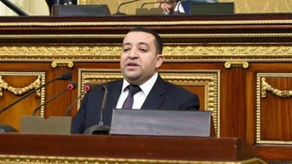 تامر عبد القادر وكيل