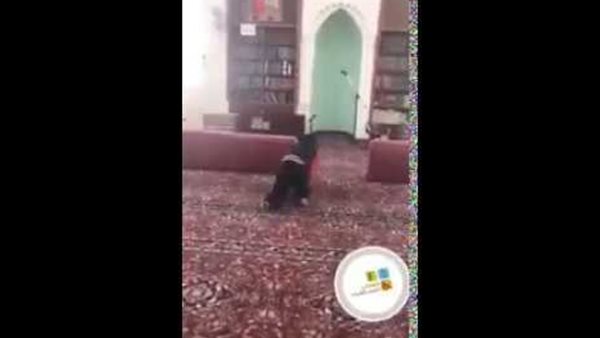 تحيا مصر