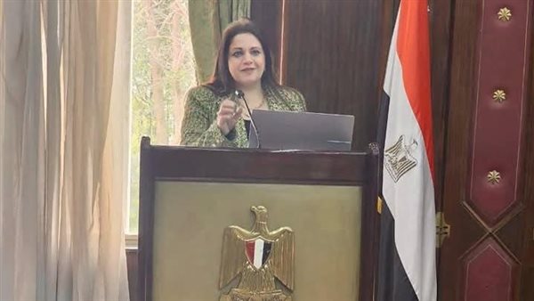 النائبة هيام فاروق،