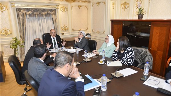  لجنة المشروعات بمجلس