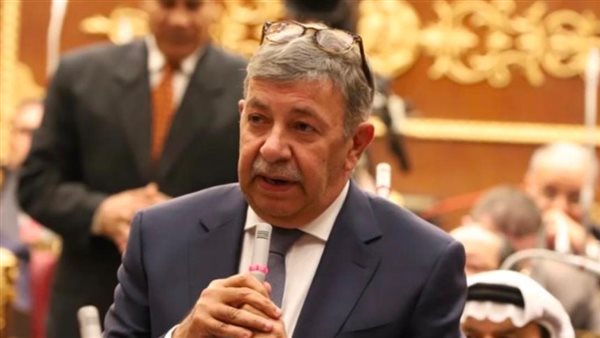 السفير عمرو حلمي