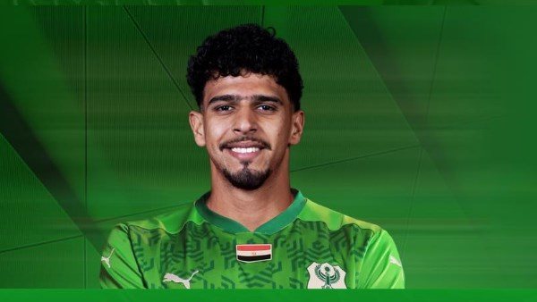 مصطفى ابو الخير