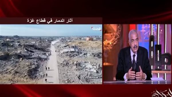 هشام طلعت مصطفى