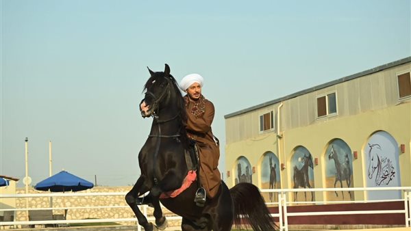 مسلسل حكيم باشا 