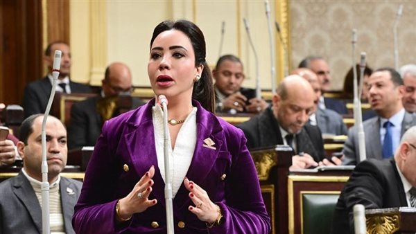  النائبة غادة علي،