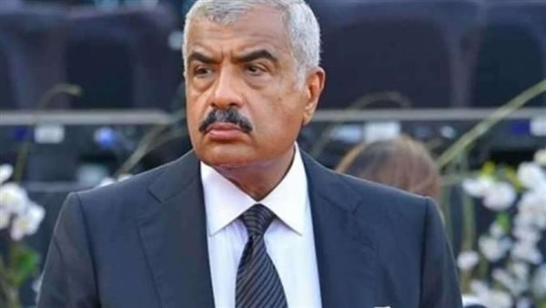 هشام طلعت مصطفى 