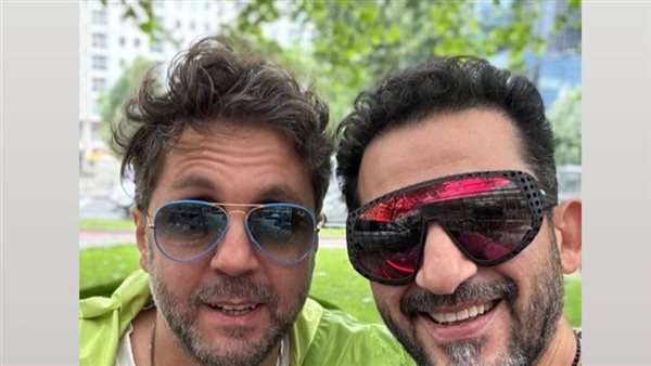 أحمد حلمي - هشام