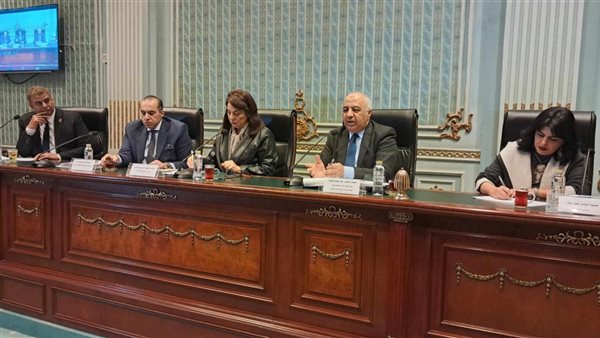 المستشار محمود فوزي