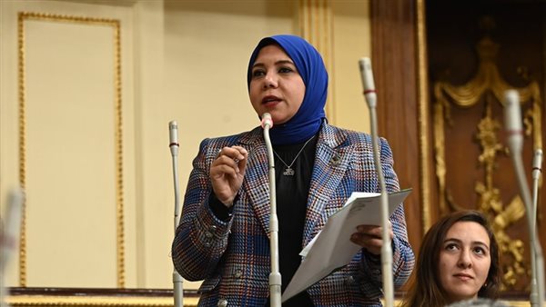 النائبة هيام الطباخ،