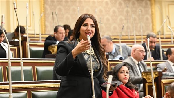 النائبة نشوي الشريف،