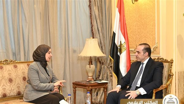 المستشار محمود فوزي