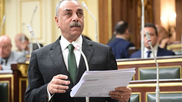  النائب إيهاب الطماوي